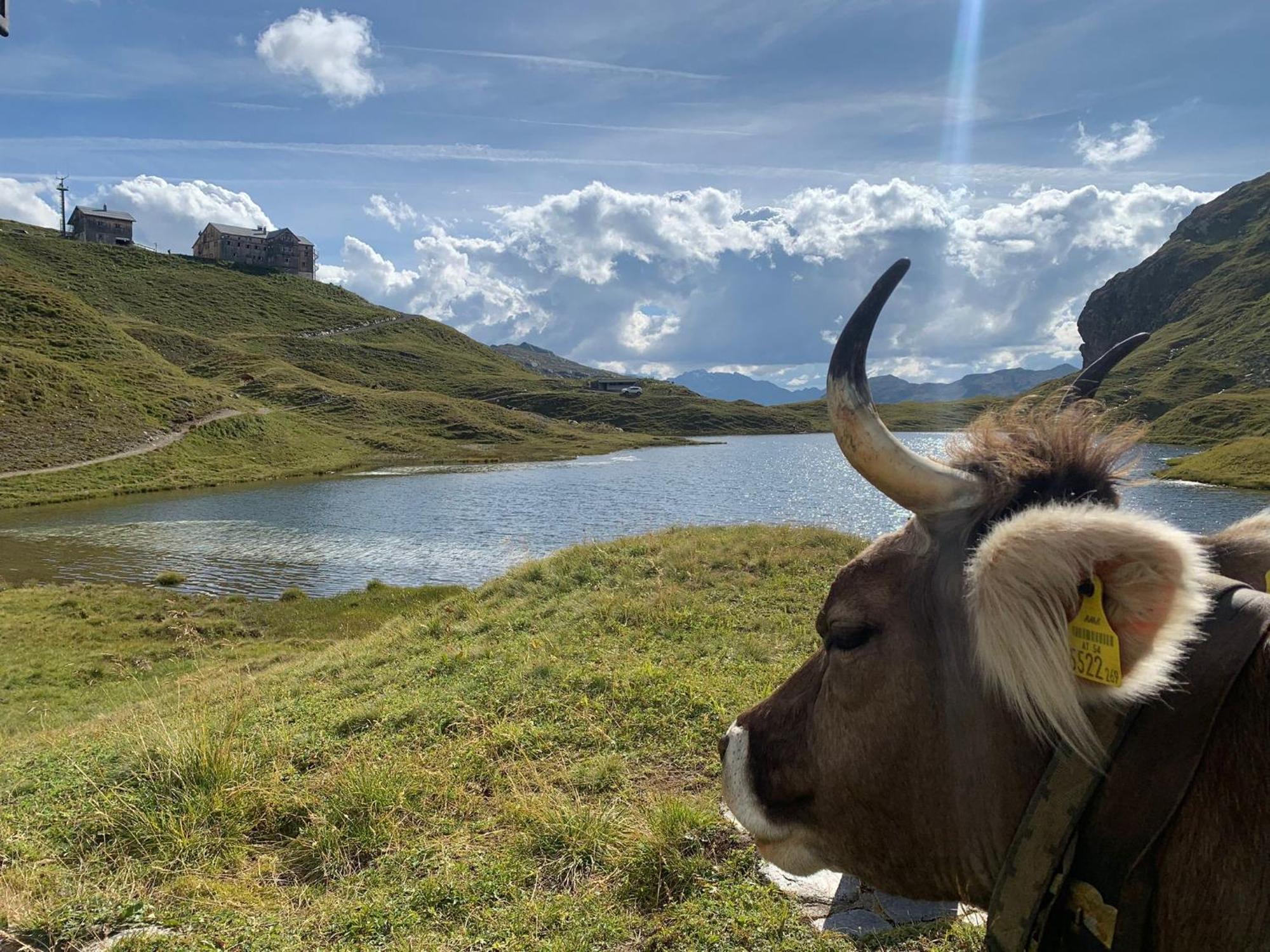 Haus Richard Falch - Inklusive Kostenloser Premium-Sommerkarte Sankt Anton am Arlberg Dış mekan fotoğraf